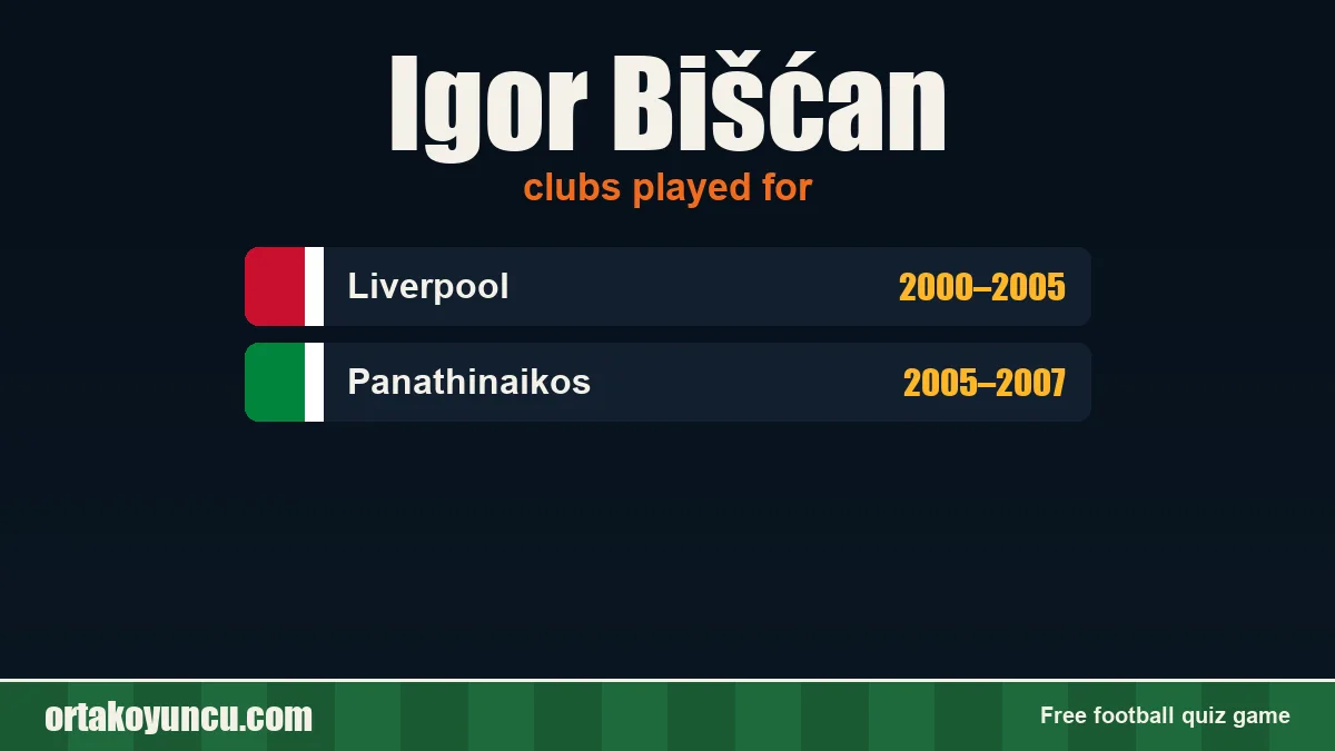 Igor Bišćan: clubs and years