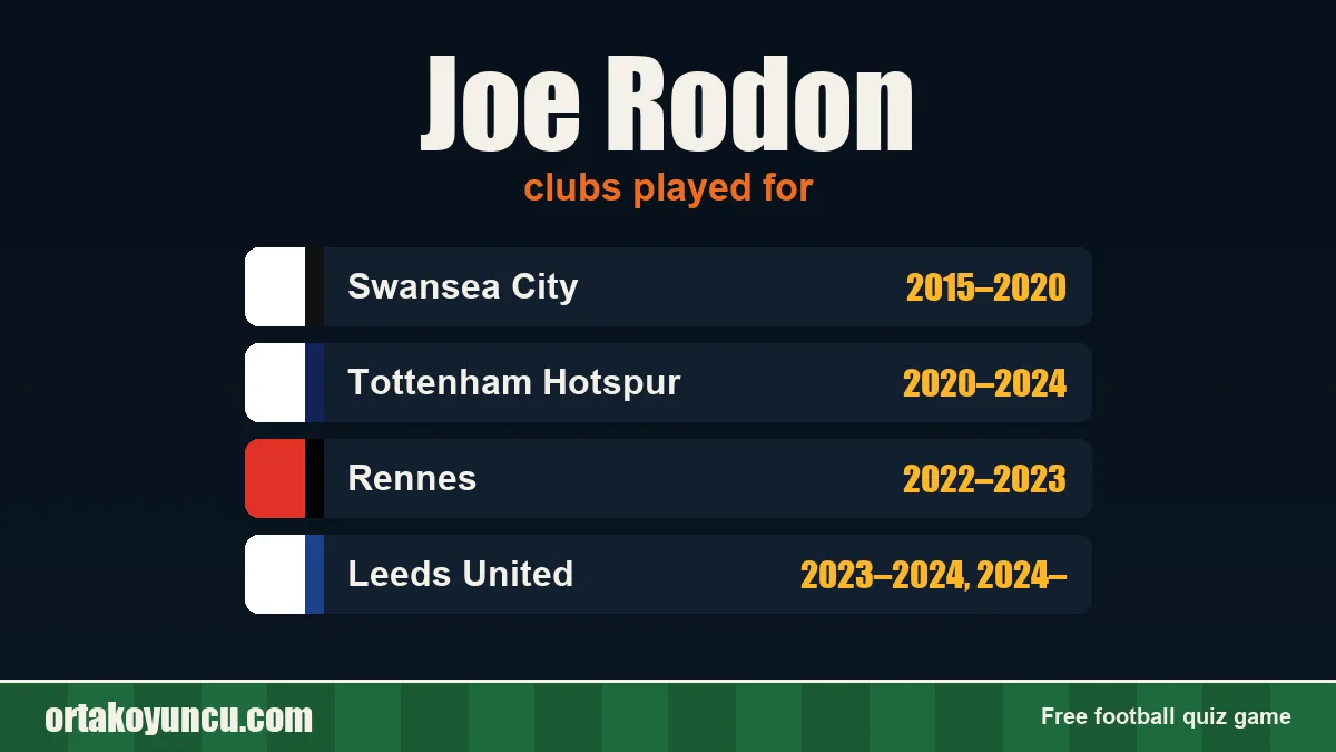 Joe Rodon: clubs and years