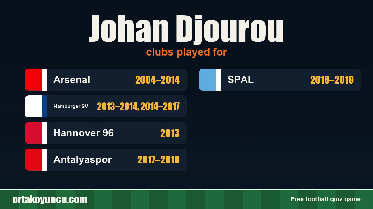 Johan Djourou: clubs and years
