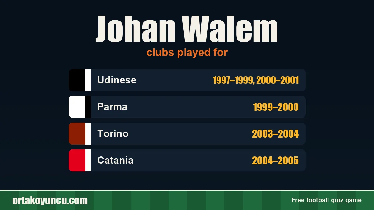 Johan Walem: clubs and years