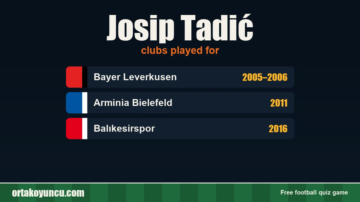 Josip Tadić: clubs and years