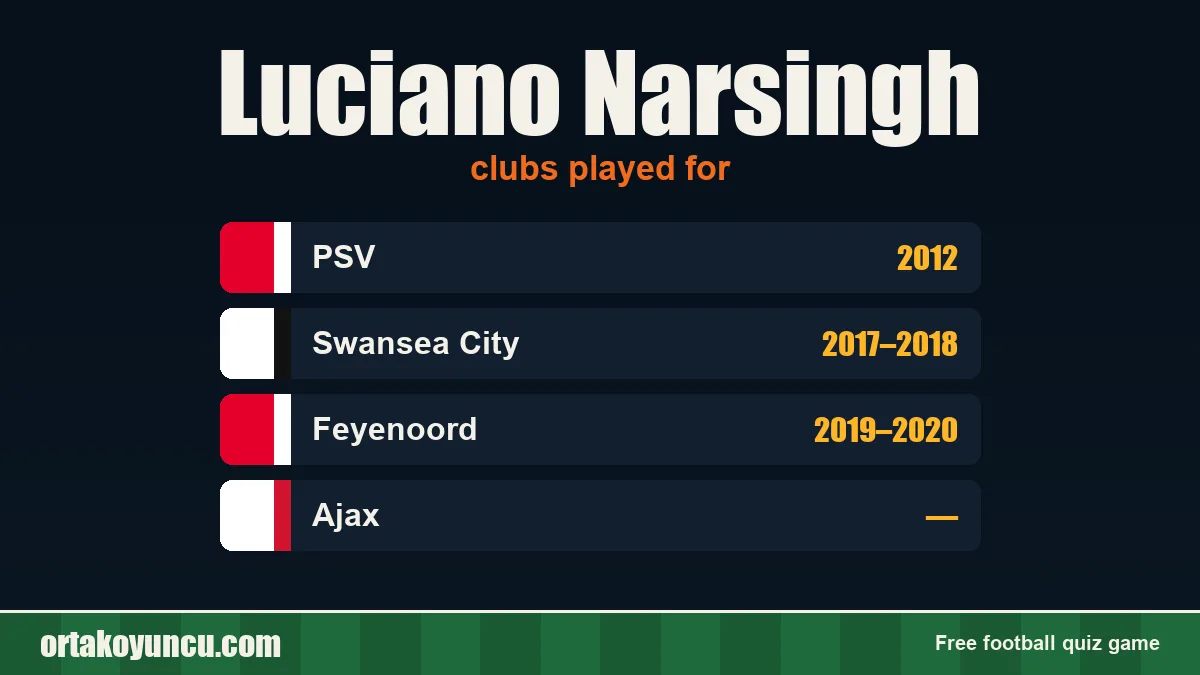 Luciano Narsingh: clubs and years