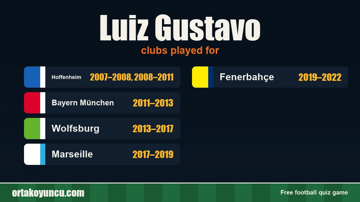 Luiz Gustavo: clubs and years