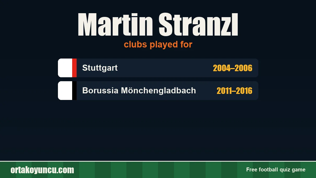 Martin Stranzl: clubs and years