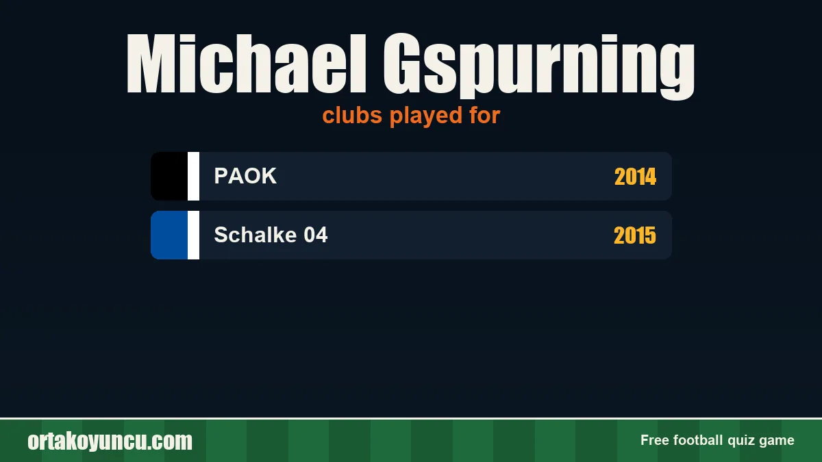 Michael Gspurning: clubs and years