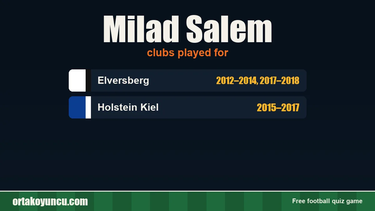 Milad Salem: clubs and years