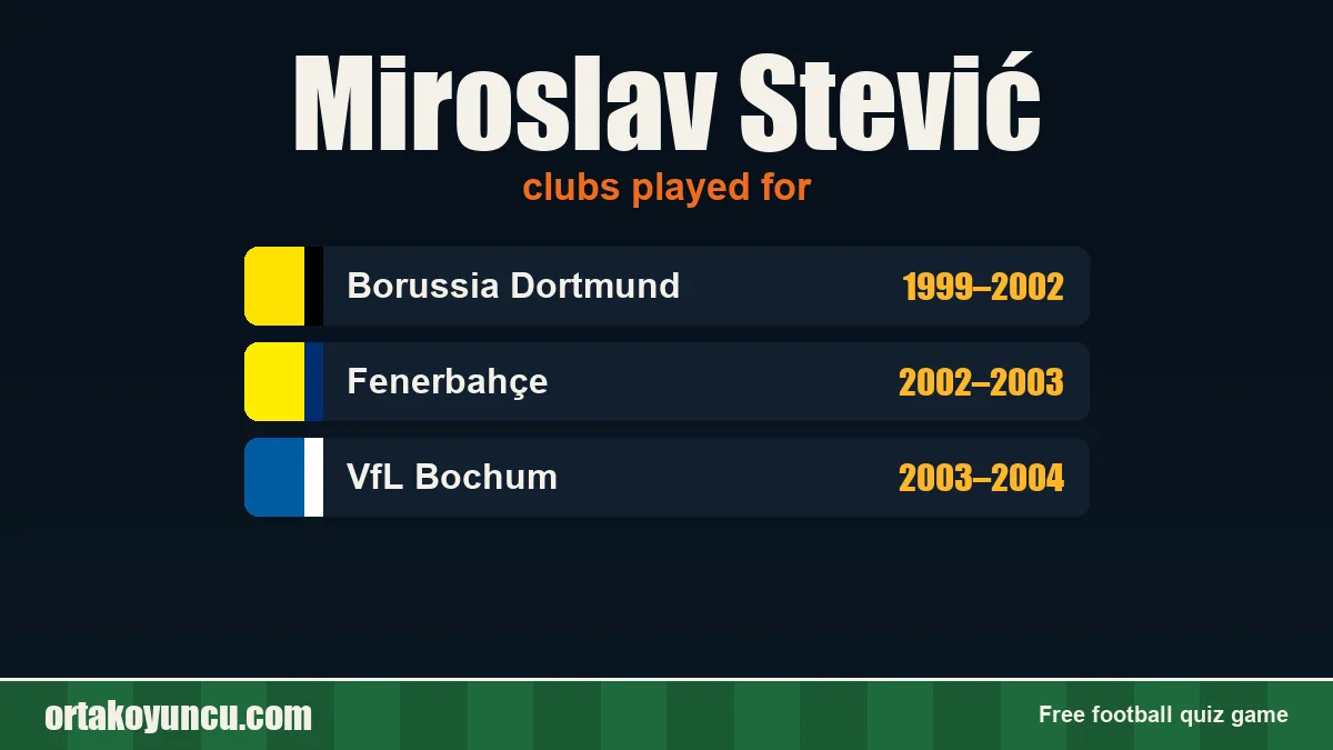 Miroslav Stević: clubs and years