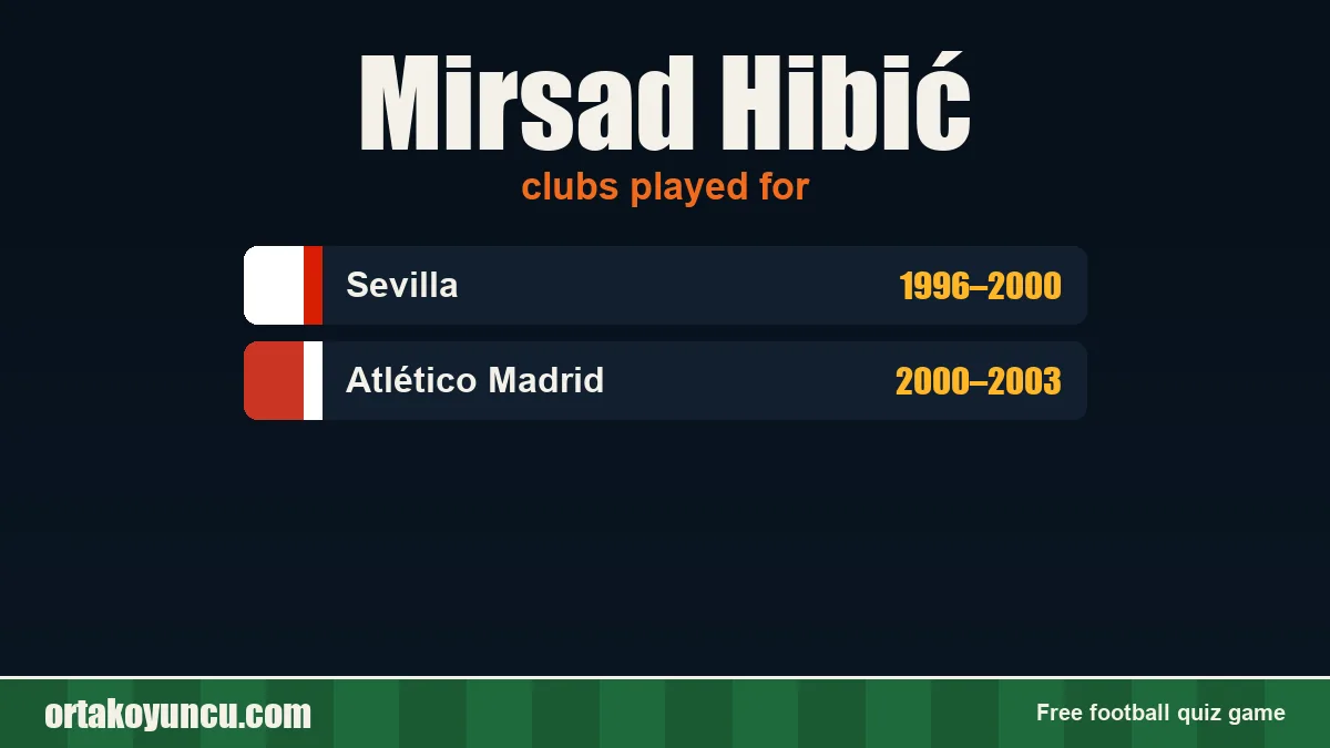 Mirsad Hibić: clubs and years