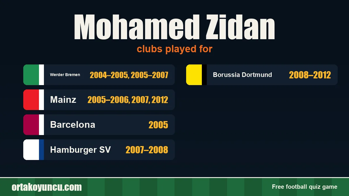 Mohamed Zidan: clubs and years