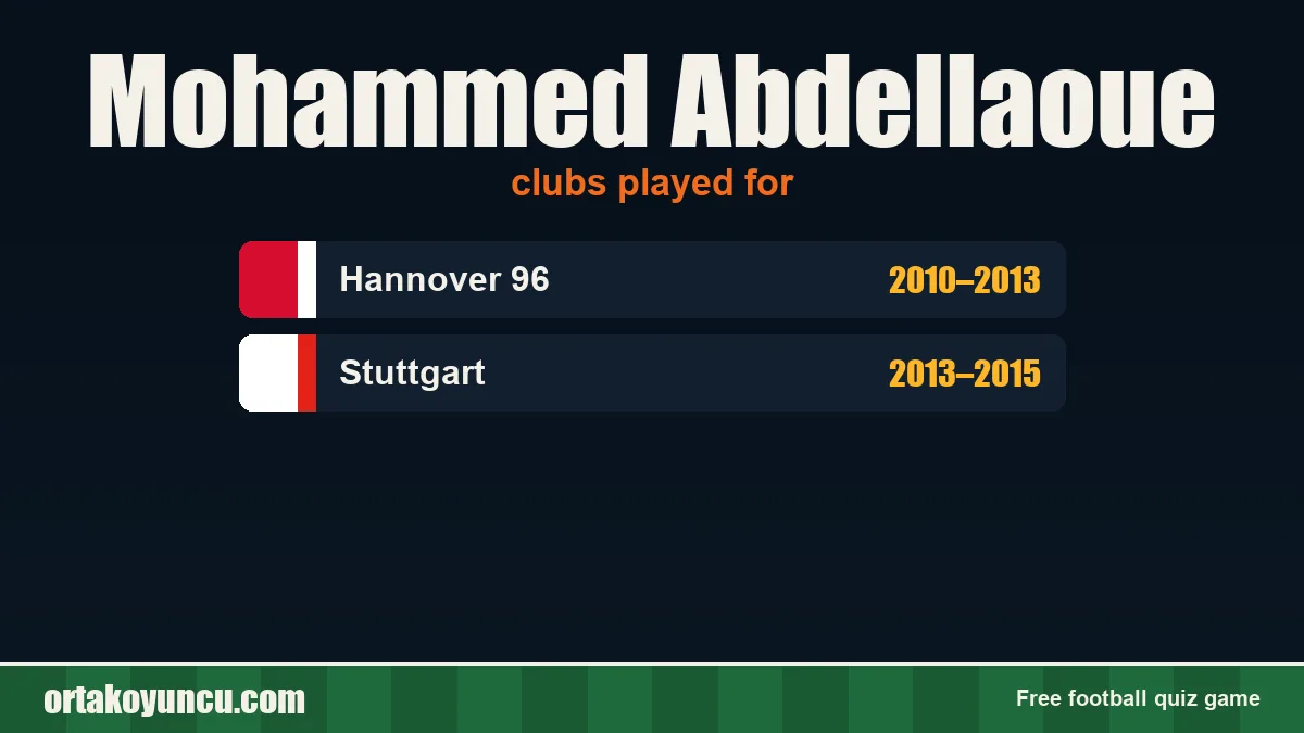 Mohammed Abdellaoue: clubs and years