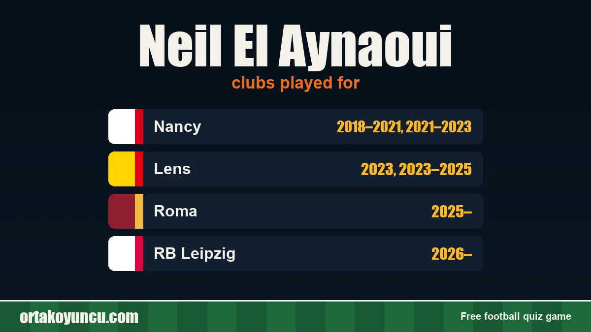 Neil El Aynaoui: clubs and years