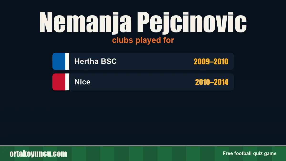 Nemanja Pejcinovic: clubs and years