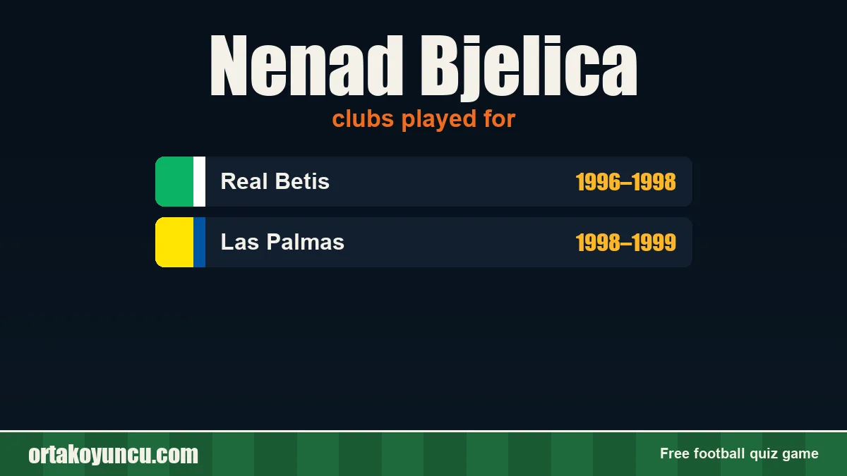 Nenad Bjelica: clubs and years