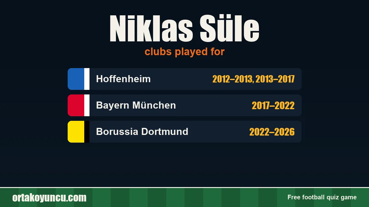 Niklas Süle: clubs and years