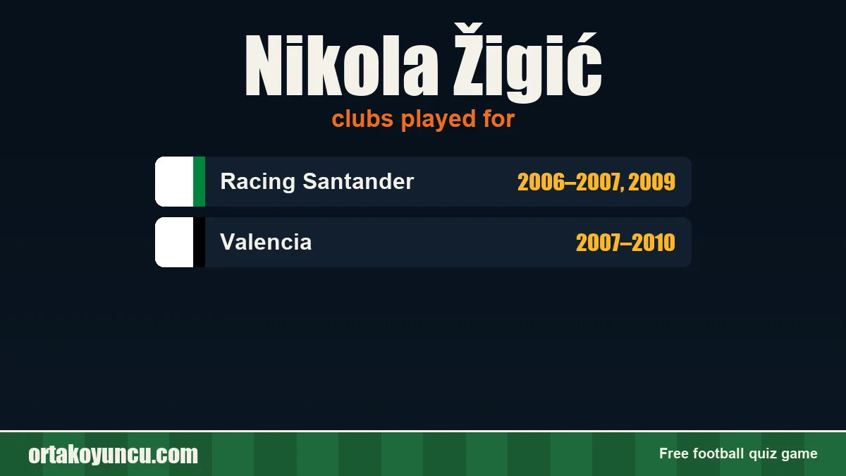 Nikola Žigić: clubs and years