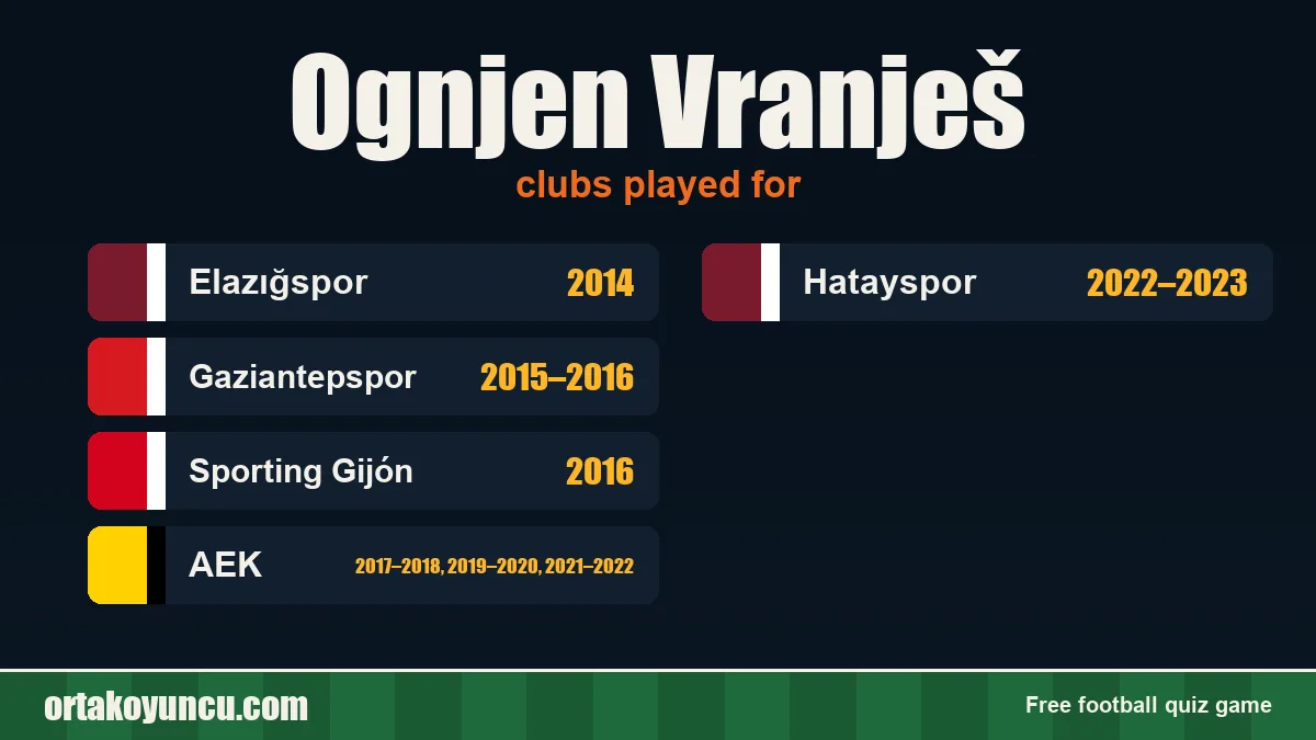 Ognjen Vranješ: clubs and years