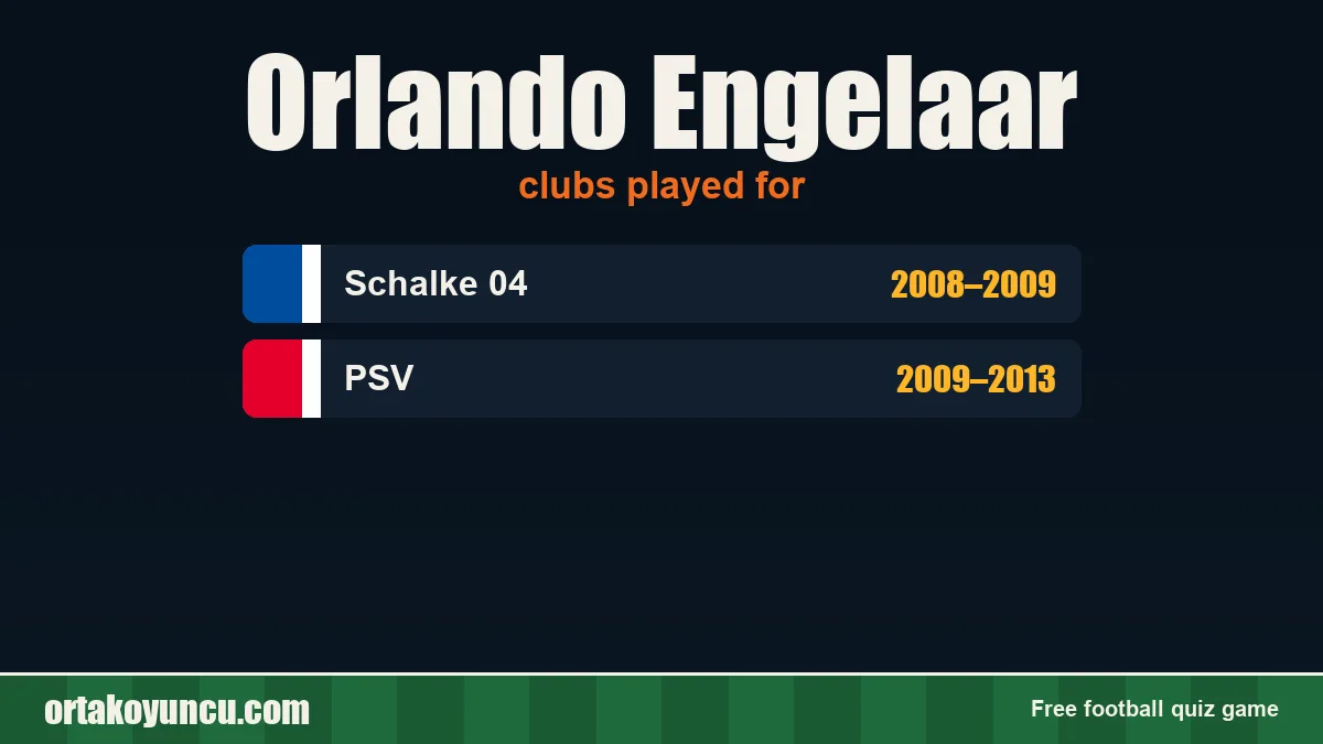 Orlando Engelaar: clubs and years
