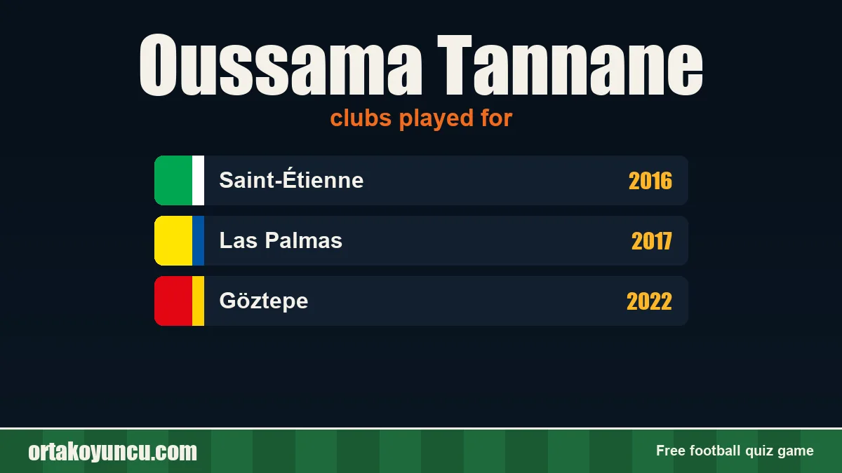 Oussama Tannane: clubs and years