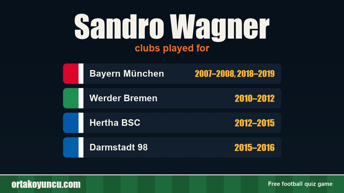 Sandro Wagner: clubs and years