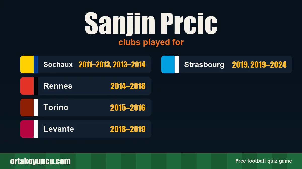 Sanjin Prcic: clubs and years