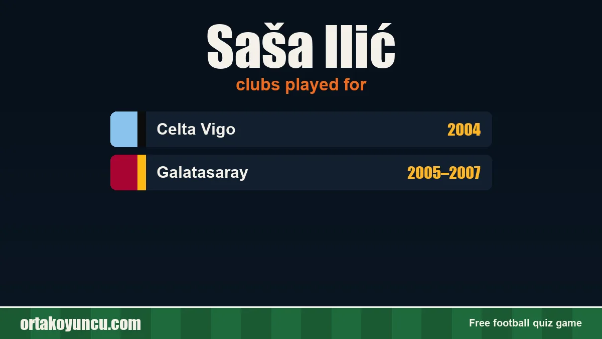 Saša Ilić: clubs and years