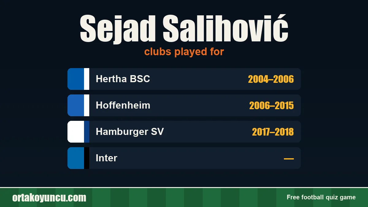 Sejad Salihović: clubs and years