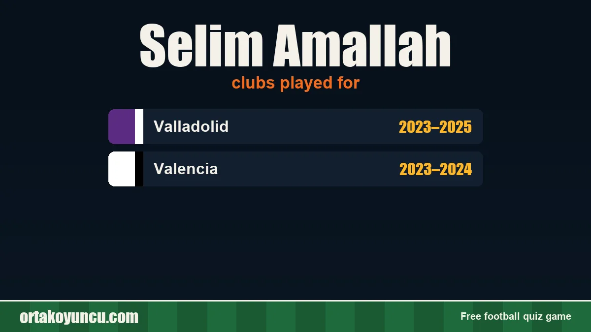 Selim Amallah: clubs and years
