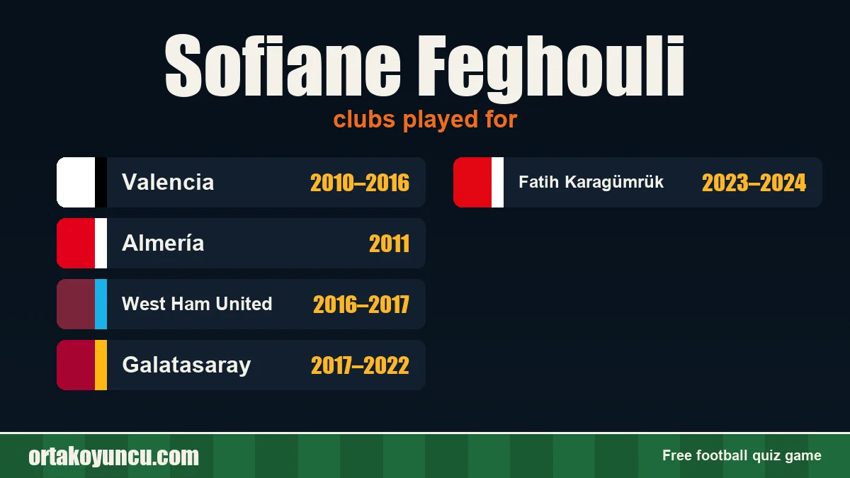 Sofiane Feghouli: clubs and years