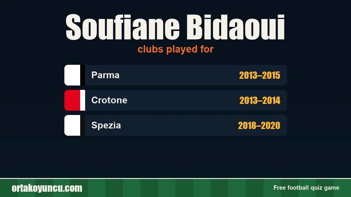Soufiane Bidaoui: clubs and years
