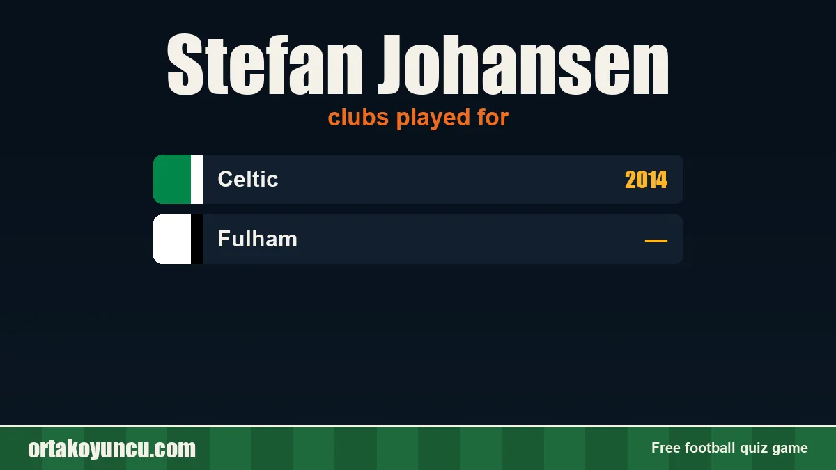 Stefan Johansen: clubs and years