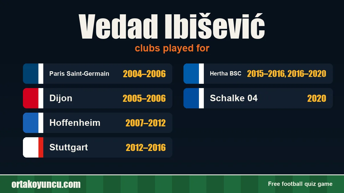 Vedad Ibišević: clubs and years