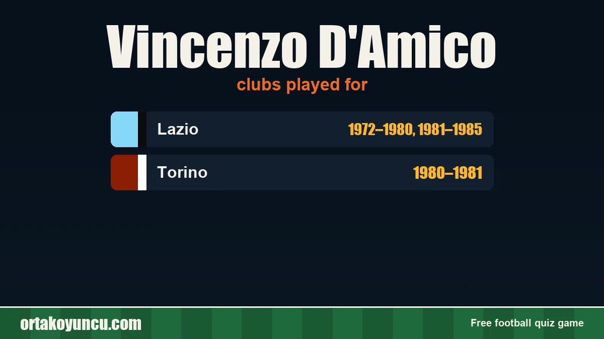 Vincenzo D'Amico: clubs and years