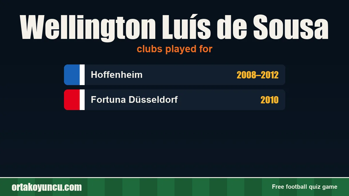 Wellington Luís de Sousa: clubs and years