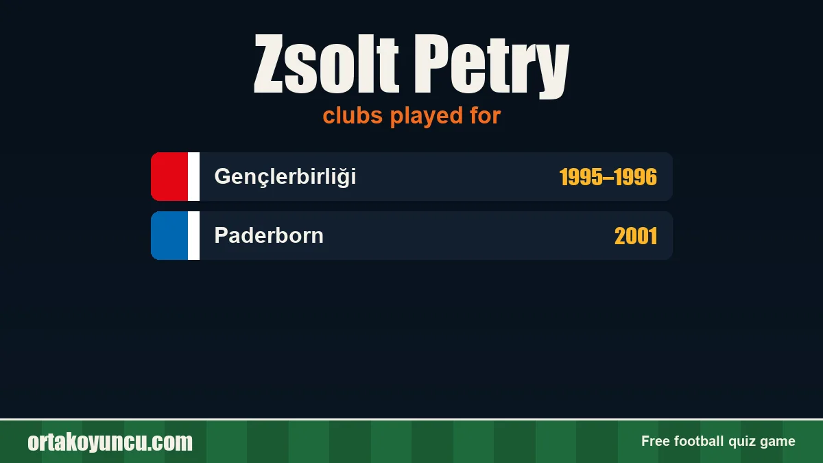 Zsolt Petry: clubs and years