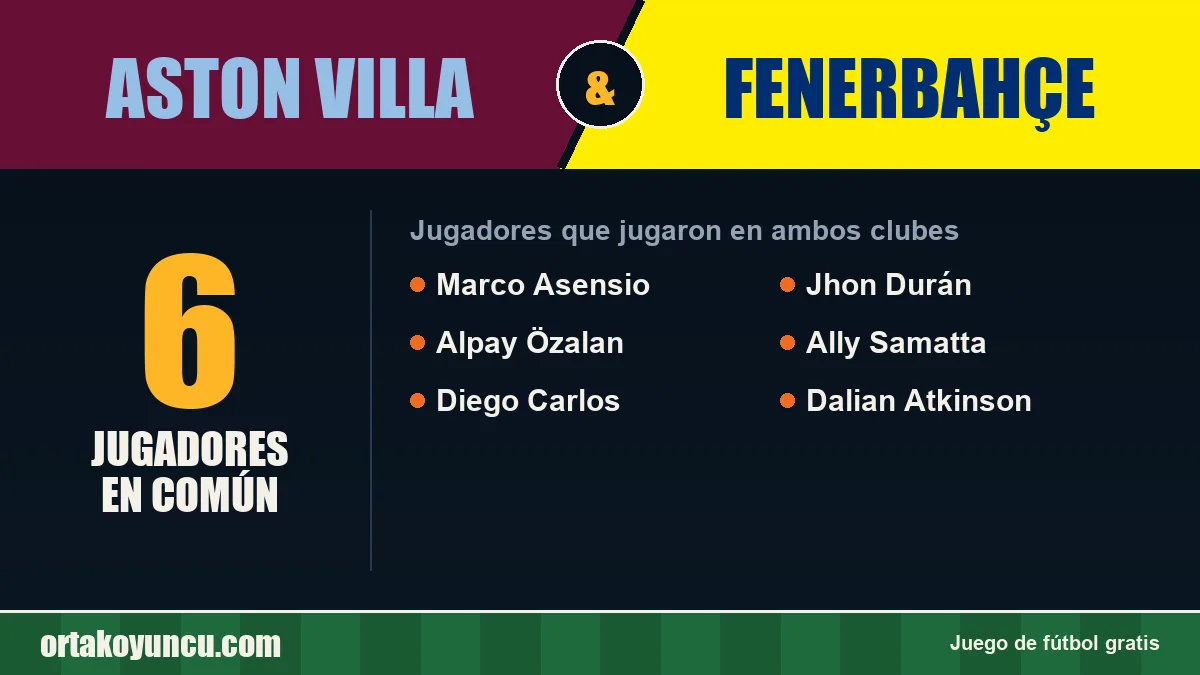Jugadores que jugaron en Aston Villa y Fenerbahçe: 6 jugadores