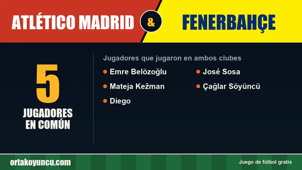 Jugadores que jugaron en Atlético Madrid y Fenerbahçe: 5 jugadores
