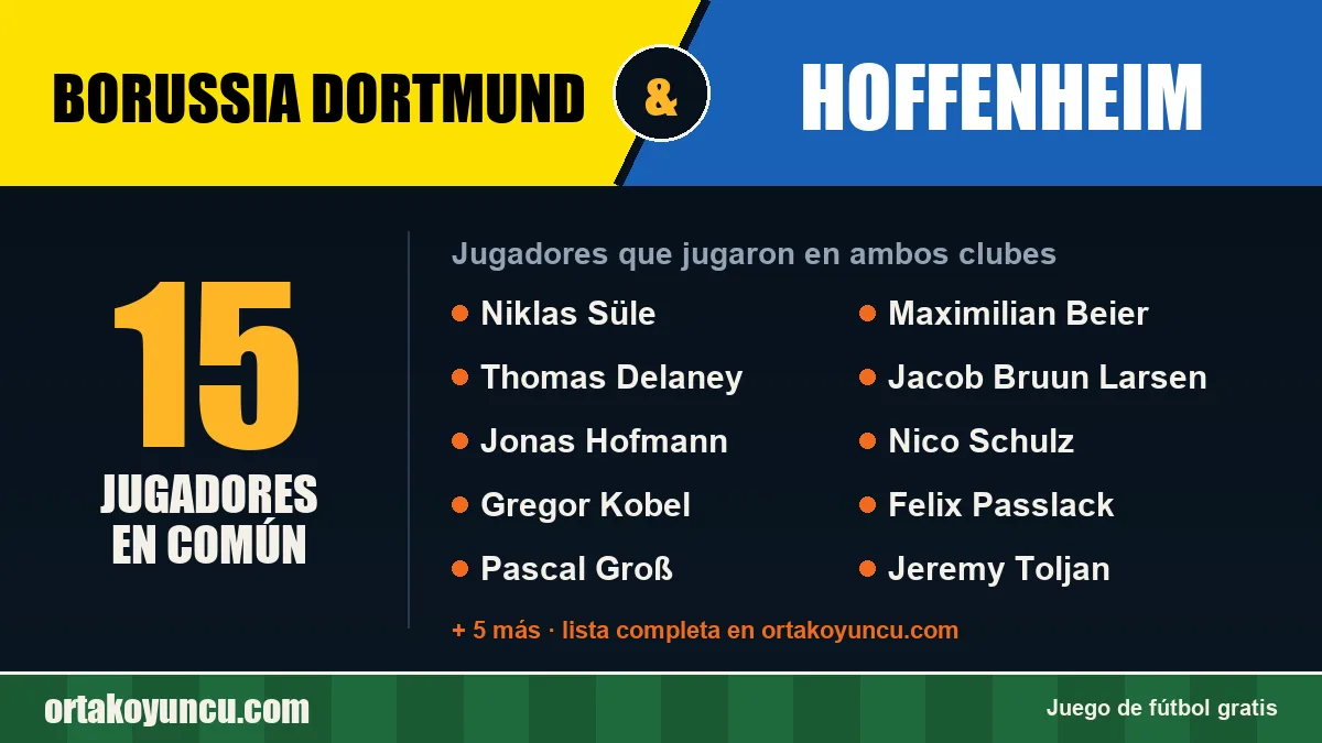Jugadores que jugaron en Borussia Dortmund y Hoffenheim: 15 jugadores