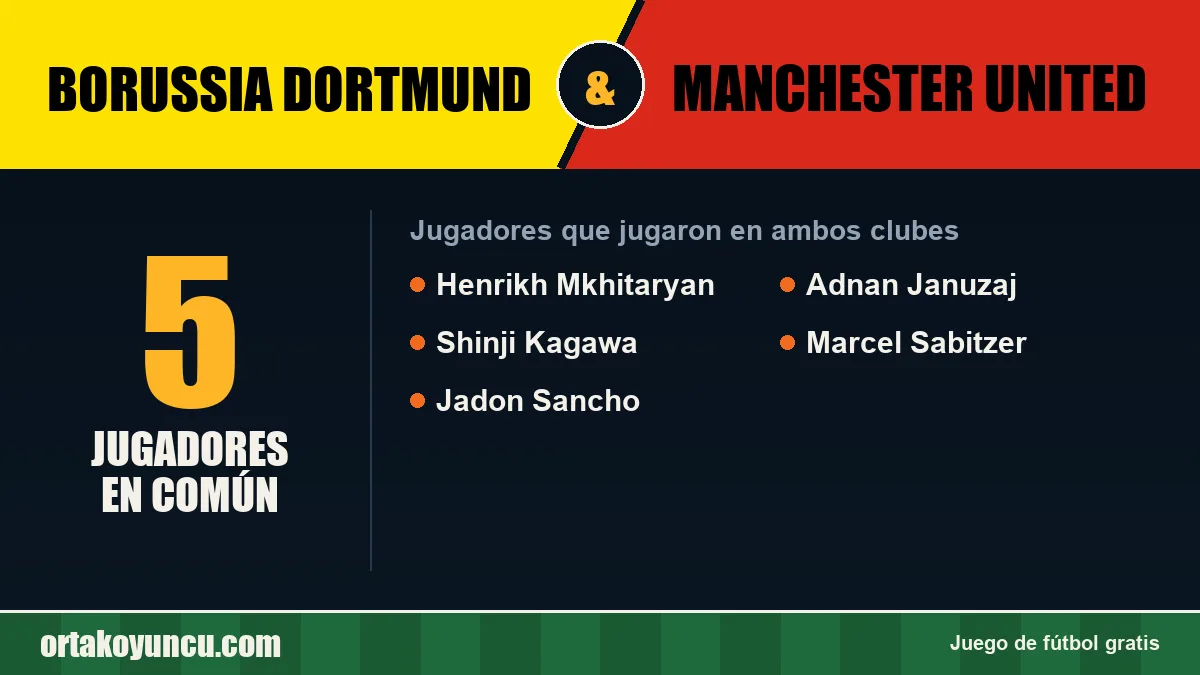 Jugadores que jugaron en Borussia Dortmund y Manchester United: 5 jugadores
