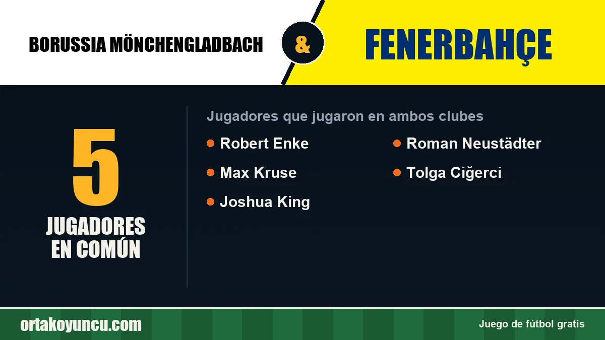 Jugadores que jugaron en Borussia Mönchengladbach y Fenerbahçe: 5 jugadores