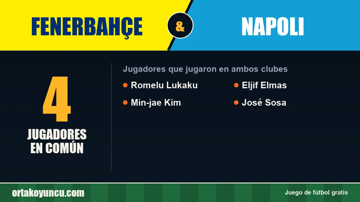 Jugadores que jugaron en Fenerbahçe y Napoli: 4 jugadores