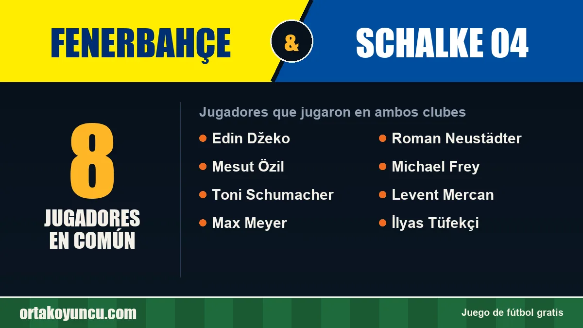 Jugadores que jugaron en Fenerbahçe y Schalke 04: 8 jugadores
