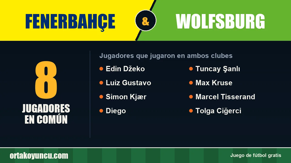 Jugadores que jugaron en Fenerbahçe y Wolfsburg: 8 jugadores