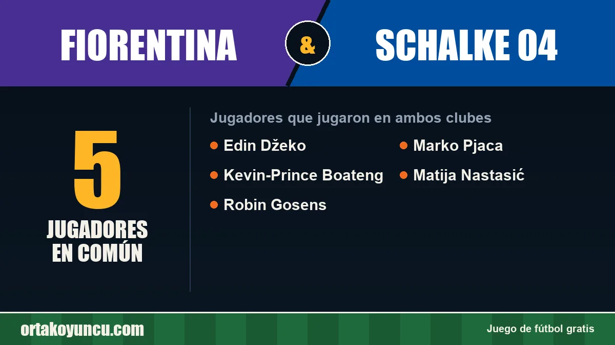 Jugadores que jugaron en Fiorentina y Schalke 04: 5 jugadores