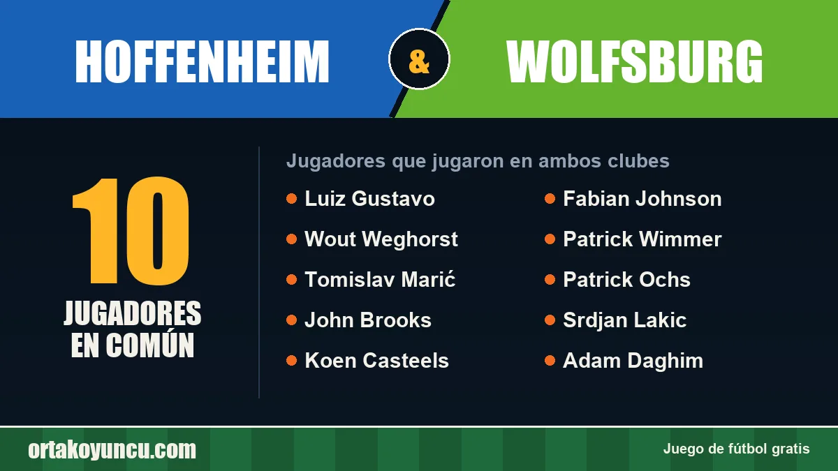 Jugadores que jugaron en Hoffenheim y Wolfsburg: 10 jugadores
