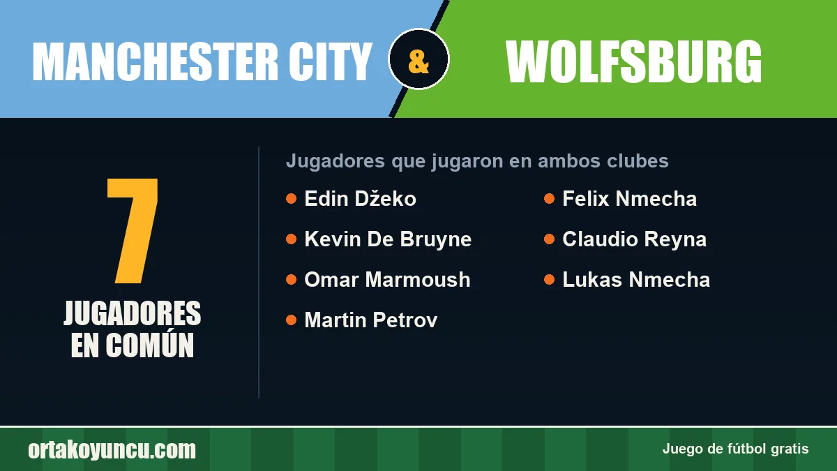 Jugadores que jugaron en Manchester City y Wolfsburg: 7 jugadores