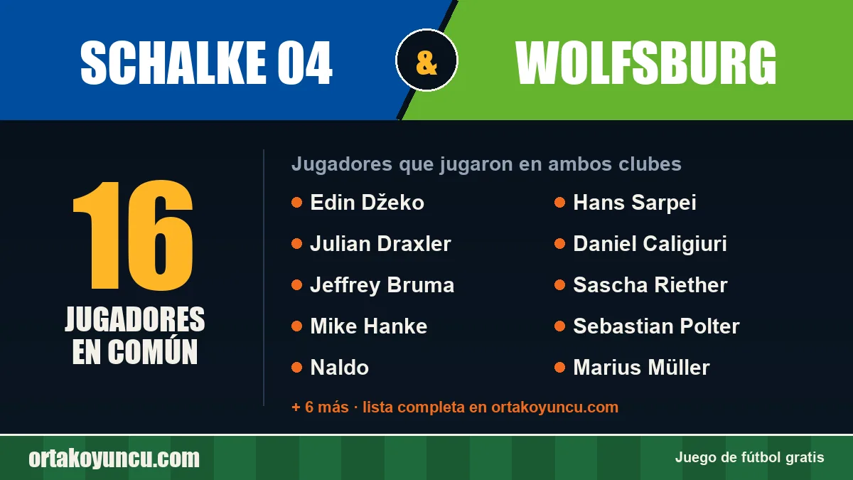 Jugadores que jugaron en Schalke 04 y Wolfsburg: 16 jugadores