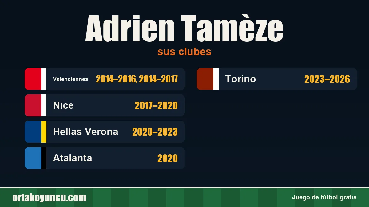 Adrien Tamèze: clubes y años