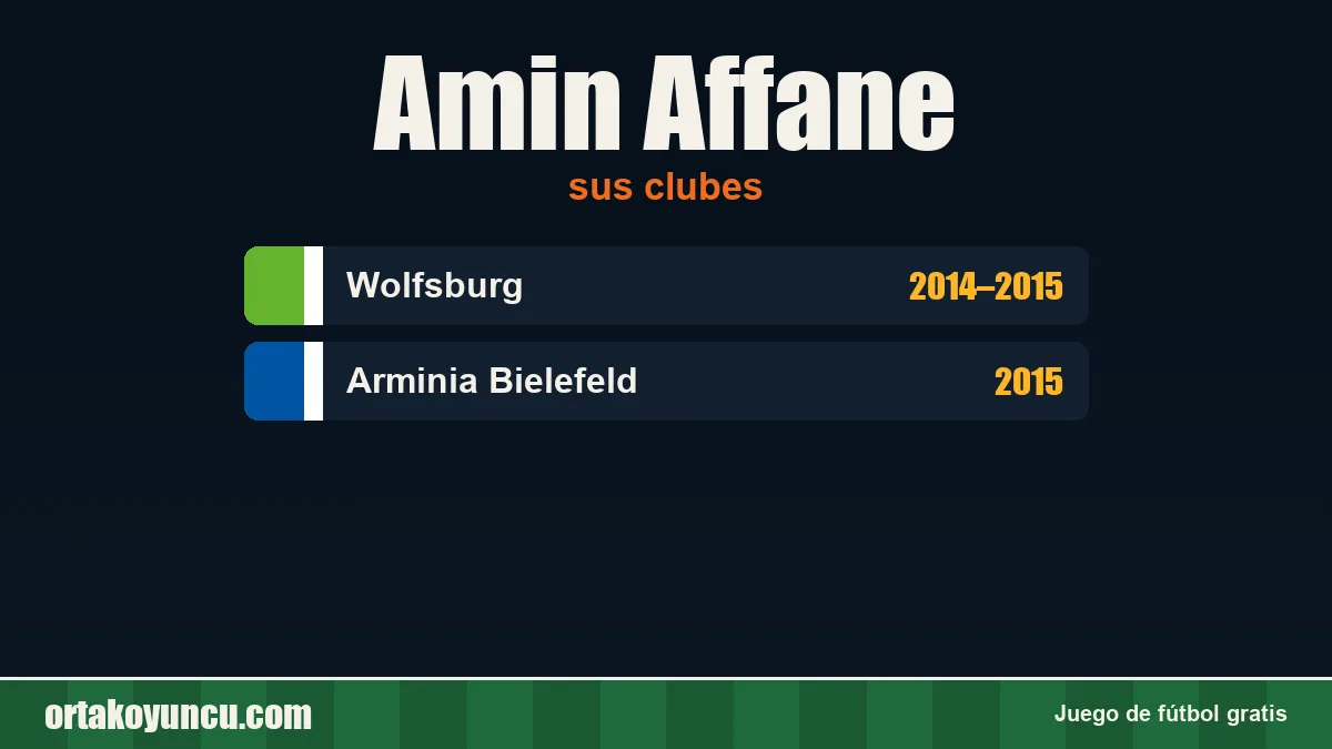Amin Affane: clubes y años