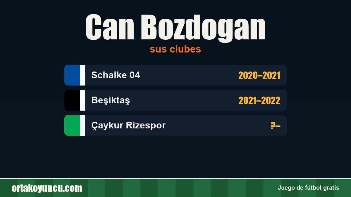 Can Bozdogan: clubes y años