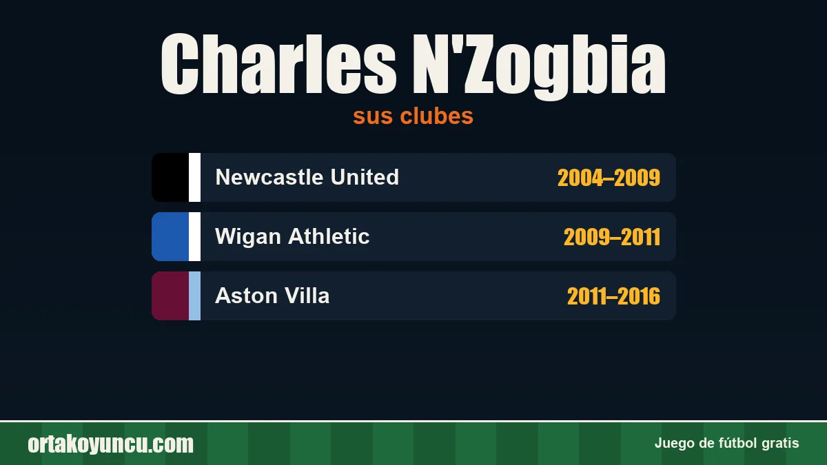 Charles N'Zogbia: clubes y años